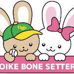 おいけ接骨院グループ ロゴ